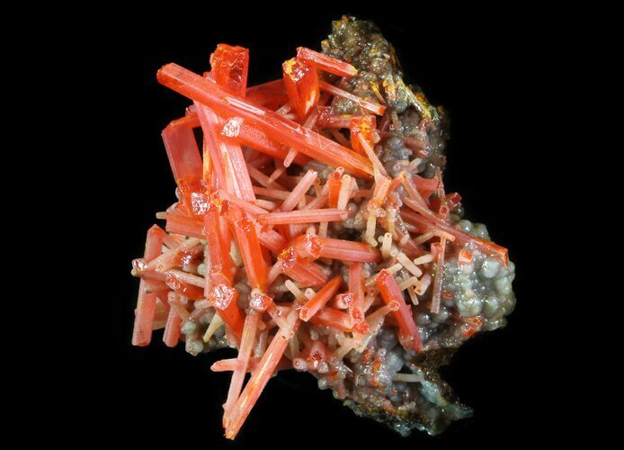 Bright Orange Crocoite Crystals - Tasmania #64326